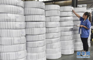 河北景縣 推動(dòng)傳統(tǒng)橡塑產(chǎn)業(yè)發(fā)展