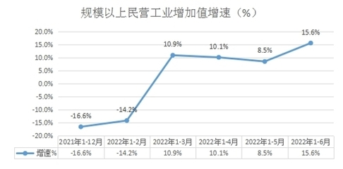 (內蒙古自治區)興安盟2022年上半年規模以上民營工業經濟穩中有進